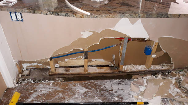 Best Local water damage restoration  in Etowah, TN