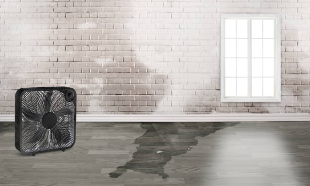  Etowah, TN Water damage restoration Pros