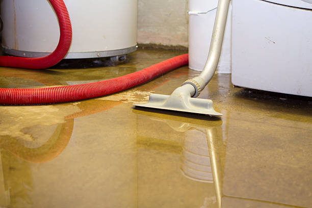 Best Carpet water damage restoration  in Etowah, TN