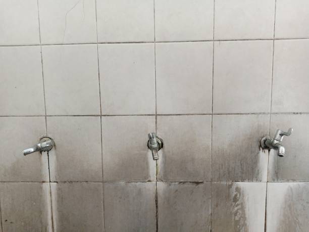 Best Water damage restoration company  in Etowah, TN