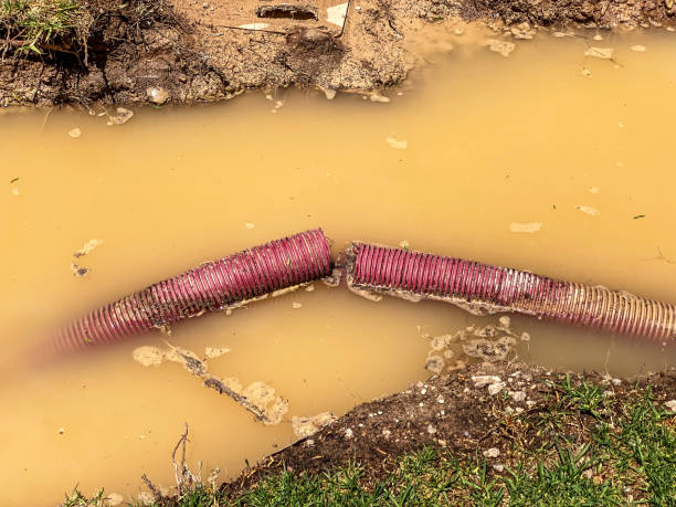 Local water damage restoration in Etowah, TN