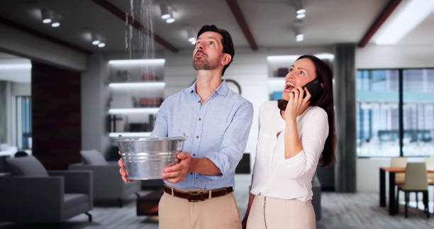 Best Commercial water damage restoration  in Etowah, TN